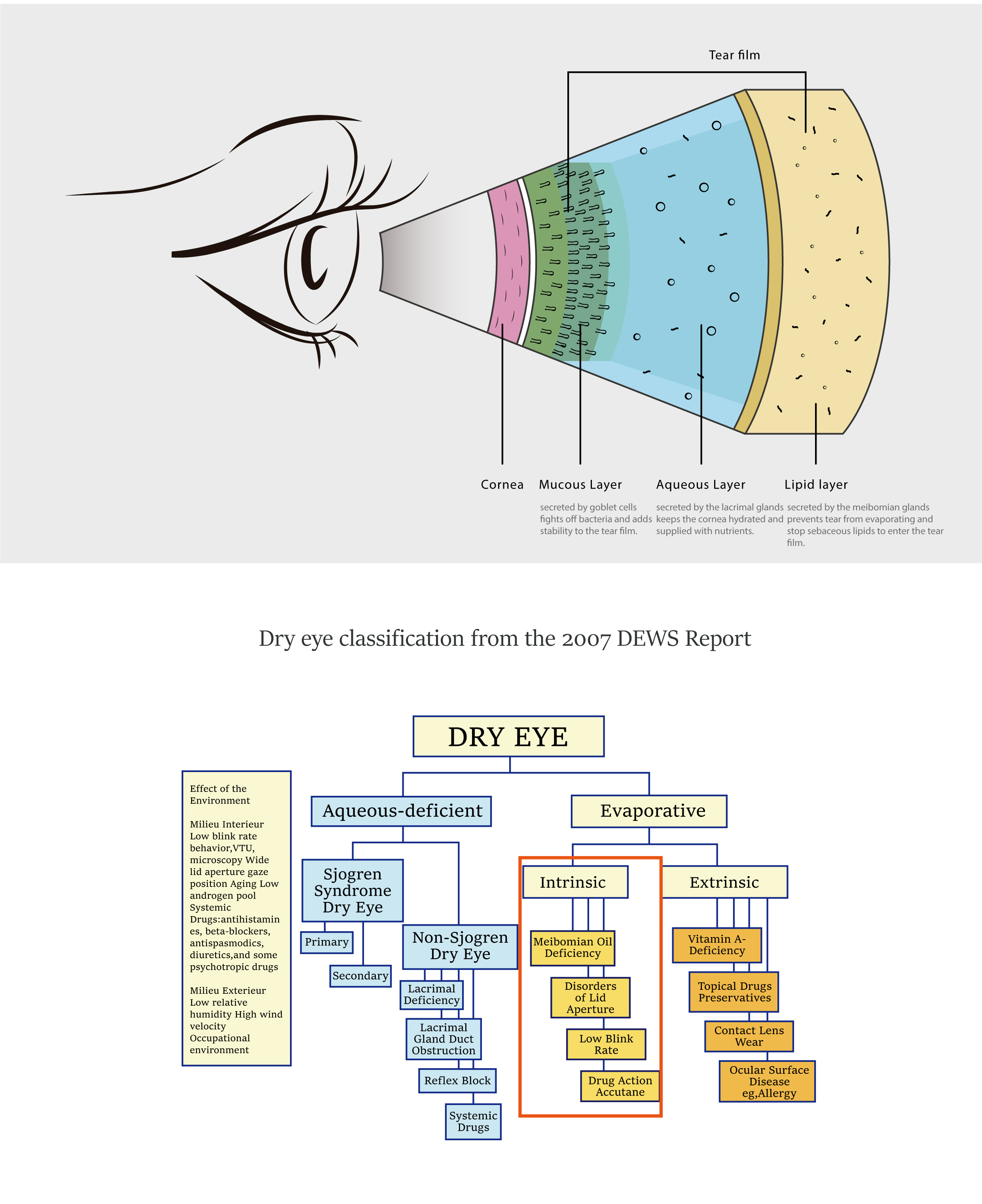 Dry eye diagnostic system 20220830-13.jpg