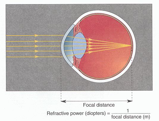 The optics of the eye